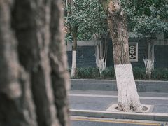 -颐和路民国时期公馆风貌区