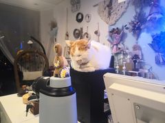 -平行世界·猫咖(首经贸店)