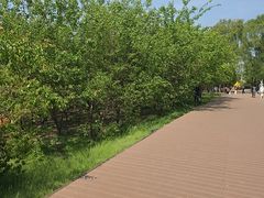 -长白岛森林公园