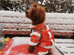 -北京恒爱动物医院(清景园分院)
