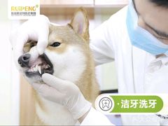 -纳吉亚猫专科动物医院博雅分院