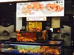 -蟹道乐(道顿堀本店)