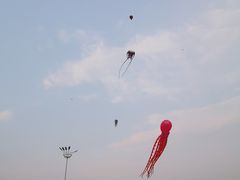 -丁香湖公园