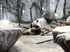 -泉城欧乐堡海洋极地世界