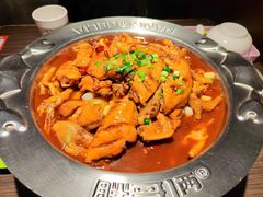 鸡翅煲-胖哥俩肉蟹煲(石家庄长安万达店)