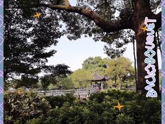 -西湖游船