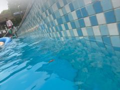 -杭州浪浪浪水公园