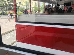 -日照海滨国家森林公园