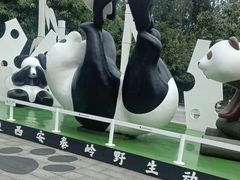 -西安秦岭野生动物园