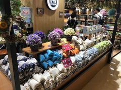 -L.C FLORA花予你(城西银泰城店)