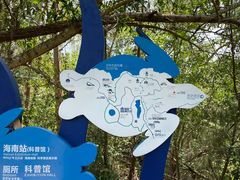-广东惠东海龟国家级自然保护区