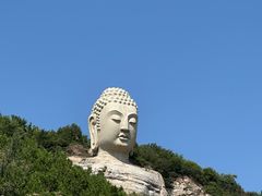 -蒙山大佛景区