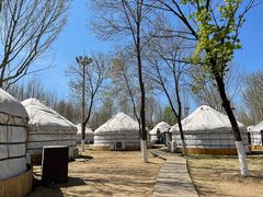 -九十九顶毡房(阜石路店)