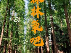 -东平国家森林公园