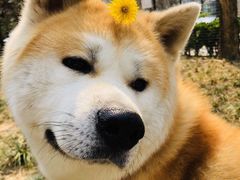 -The place那儿(新城国际店)