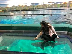 -瑞普利水族馆
