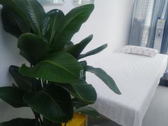 -桥恩心理咨询国际连锁(南山总店)