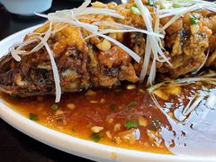 -陈麻婆豆腐总店
