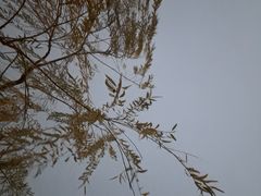 -浙江西湖美术馆