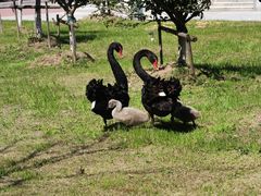 -宁波大学科学技术学院