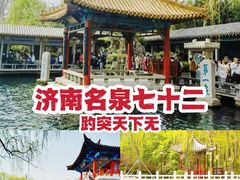 -趵突泉景区