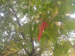 -长春市南湖公园