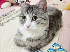 -库迪咖啡(北京中关村5号店)