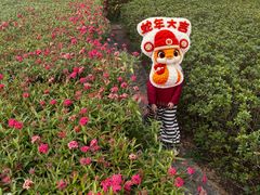 -天河儿童公园