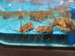 -阿伟海鲜楼·福建菜(延寿店)