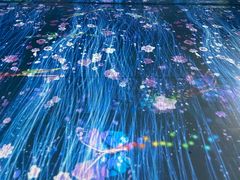 -梦幻巴比松星空体验馆