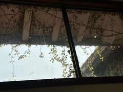 -中国茶叶博物馆(双峰馆区)