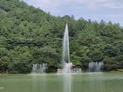 -广州白江湖森林公园