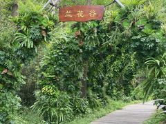 -东平国家森林公园