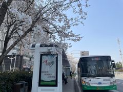 -华中科技大学光谷体育馆