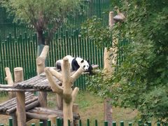 -沈阳森林动物园