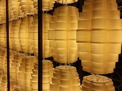 -上海中星雅高铂尔曼大酒店