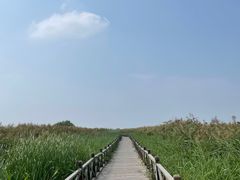 -哈素海