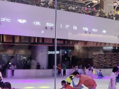 -TheRink大零溜冰场(IFS国金中心店)