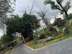 -东莞植物园