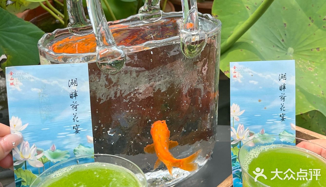 北京荷花宴🪷永远臣服于中式浪漫！！