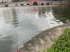-荔湾湖公园