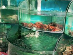 水产区-沿海渔家院蒸汽海鲜·东北菜(东戴河店)