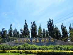 -永定河休闲森林公园