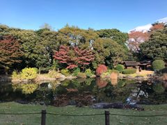 -东京国立博物馆