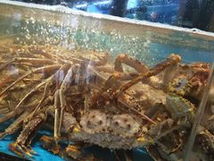 -徐记海鲜(梅溪新天地店)