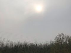 -合肥滨湖国家森林公园