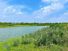 -春花秋色城市公园