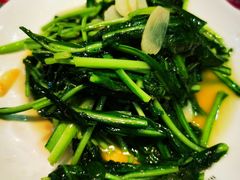 清炒板蓝根-香巴拉云南餐厅(华莱坞店)