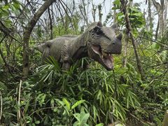 -海南热带野生动植物园