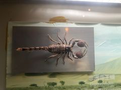 -大连自然博物馆